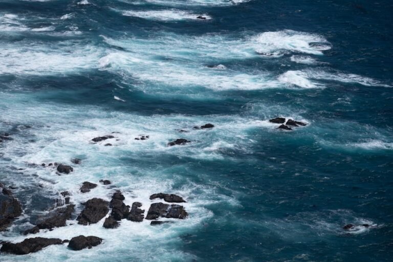 Decoding Tide Charts in California: A Complete Guide