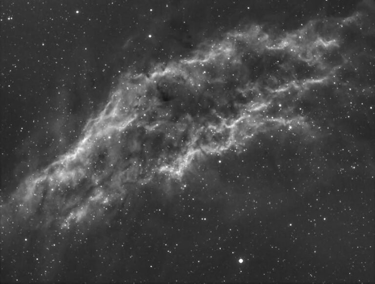 Dark Stars: Unveiling the Universe's Hidden Giants