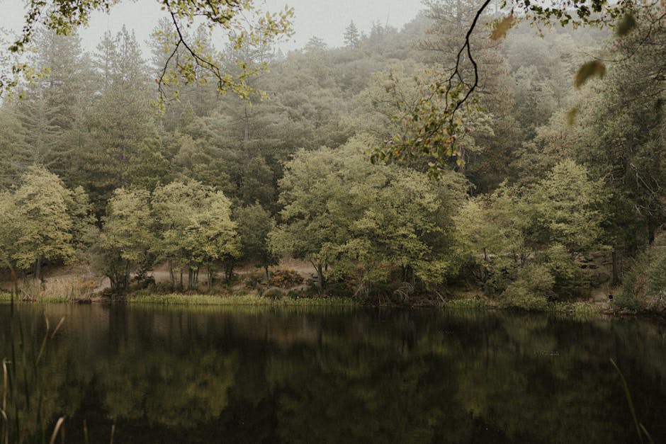 Escape Burnout: Your Guide to Rejuvenating California Getaways