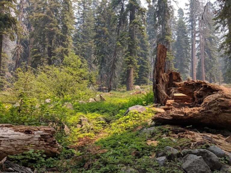 California's Hidden Gems: Unearthing Undiscovered Wonders & Immersive Travel