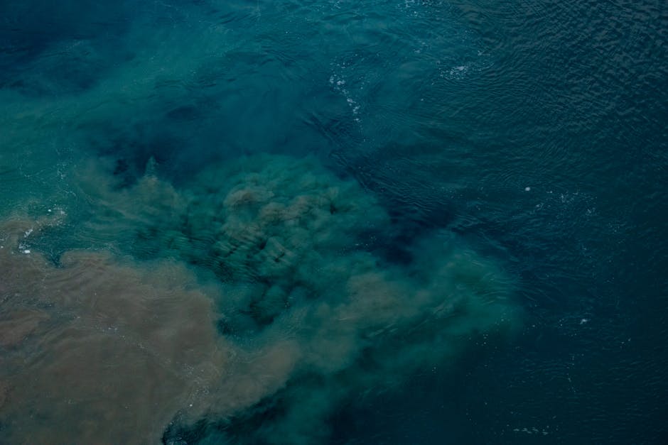 California Ocean Pollution: What the Mariana Trench Reveals About Marine Health