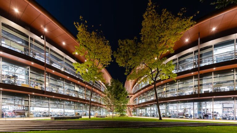 California's Freedom Shock: How Berkeley Ignited Masayoshi Son's Global Vision